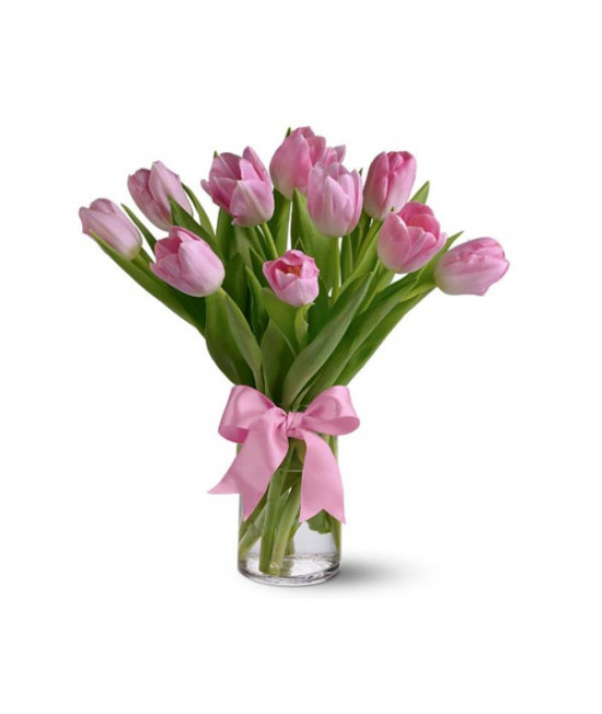 Spring Tulips - Light Pink